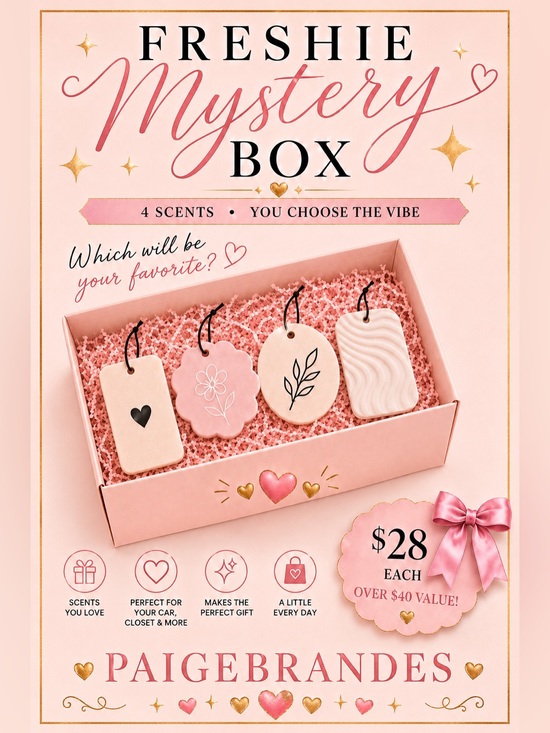 Other - PaigeBrandes Freshie mystery box 📦